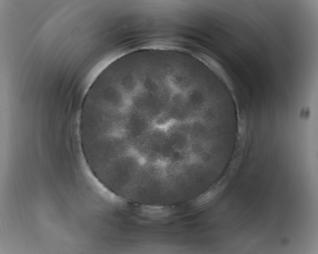 X0000112040855200908031514