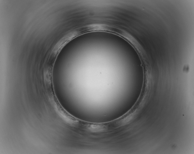 X0000112040857200908031515