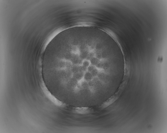 X0000112040859200908031515
