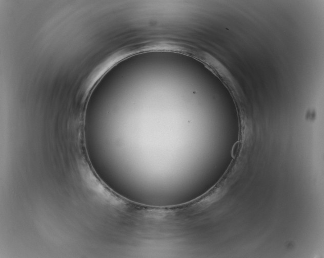 X0000112040860200908031515