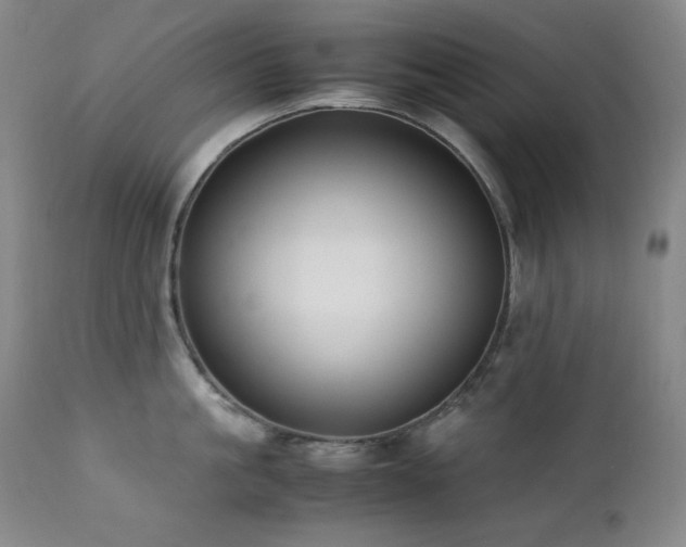 X0000112040861200908031515