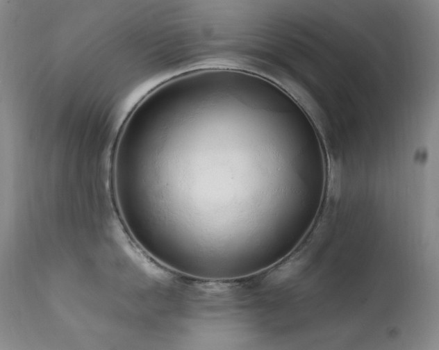 X0000112040862200908031515