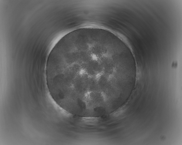 X0000112040863200908031515