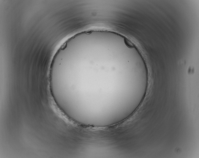 X0000112040864200908031515