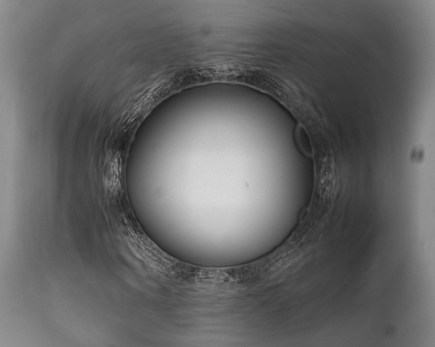 X0000112040866200908031514