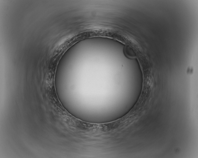 X0000112040869200908031514