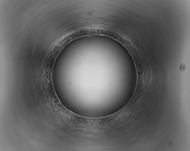 X0000112040870200908031514