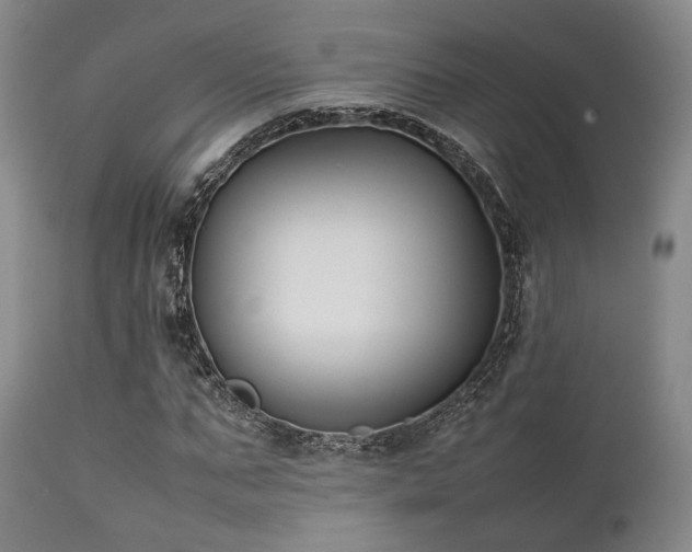 X0000112040871200908031514