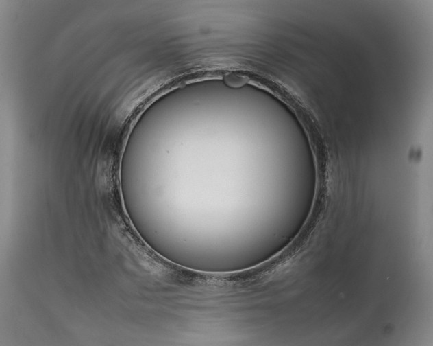 X0000112040873200908031514
