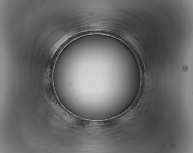 X0000112040875200908031514