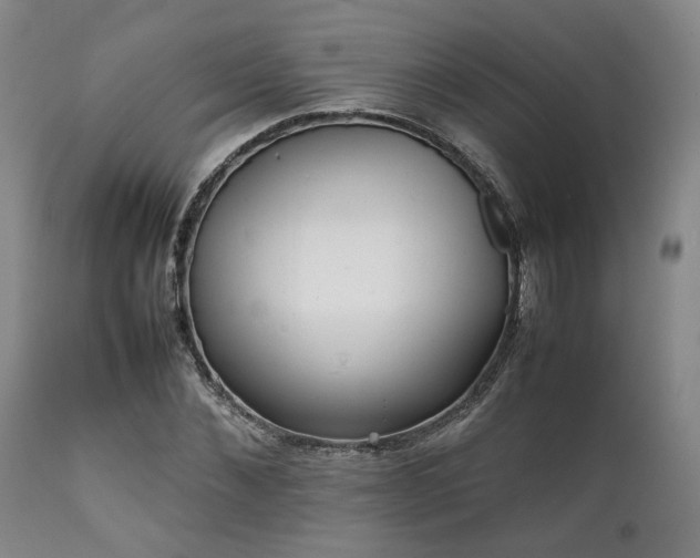 X0000112040876200908031514