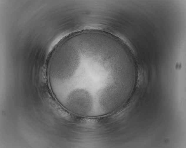 X0000112040878200908031514