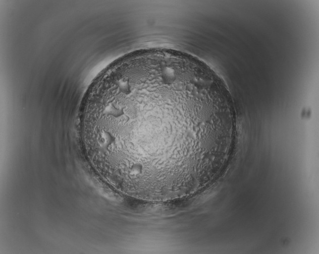X0000112040879200908031514