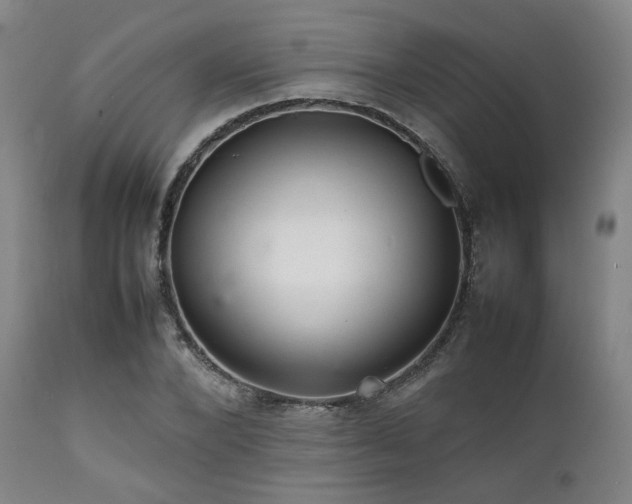 X0000112040880200908031514