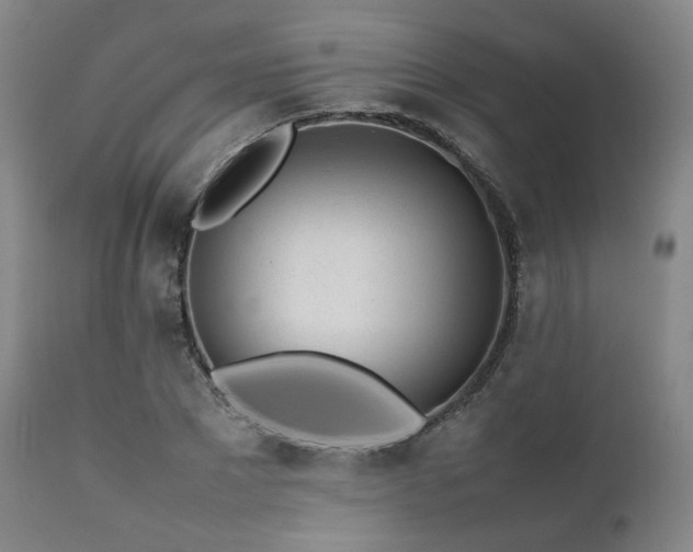 X0000112040881200908031514