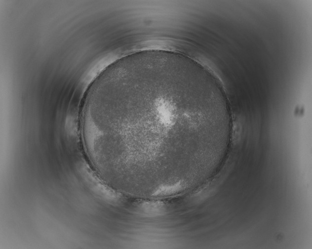 X0000112040882200908031514