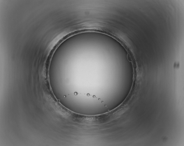 X0000112040883200908031514