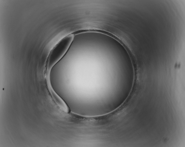 X0000112040885200908031514