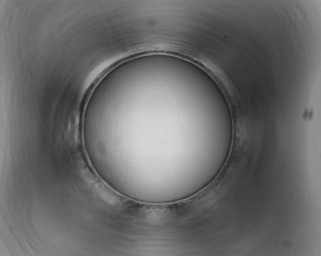 X0000112040886200908031514
