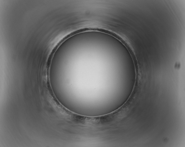 X0000112040887200908031514