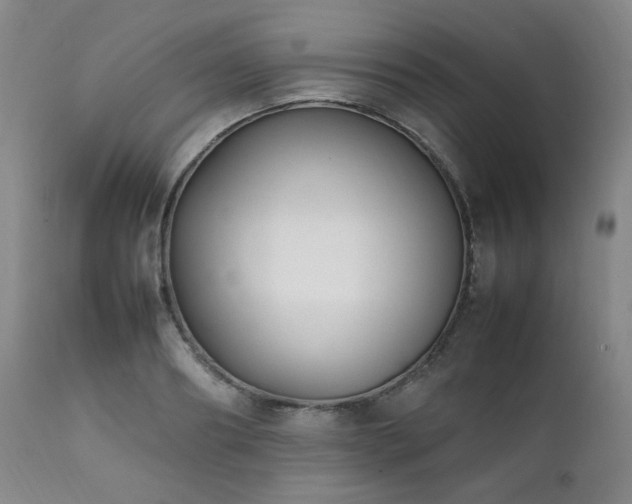 X0000112040890200908031514