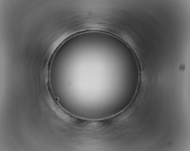X0000112040891200908031514