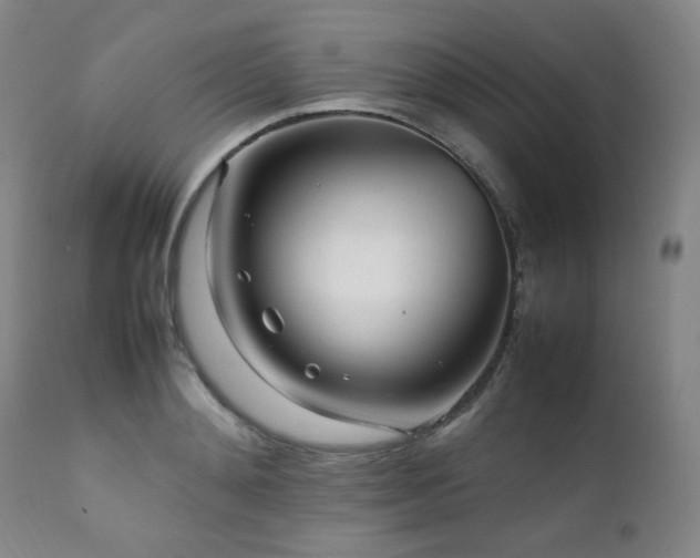 X0000112040892200908031514