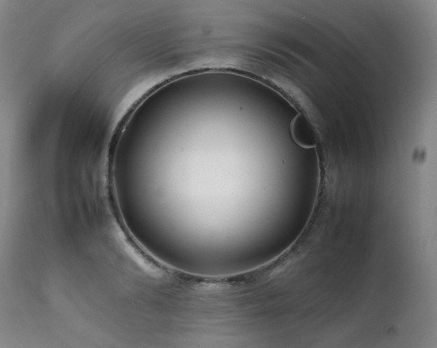 X0000112040894200908031514