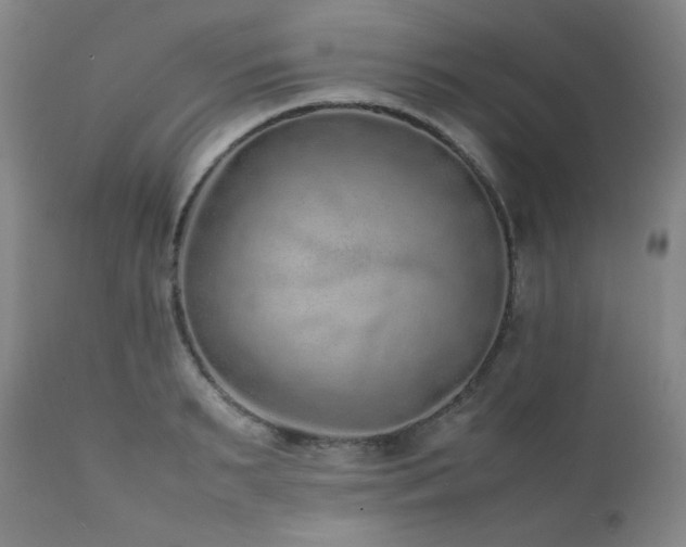 X0000112040895200908031514