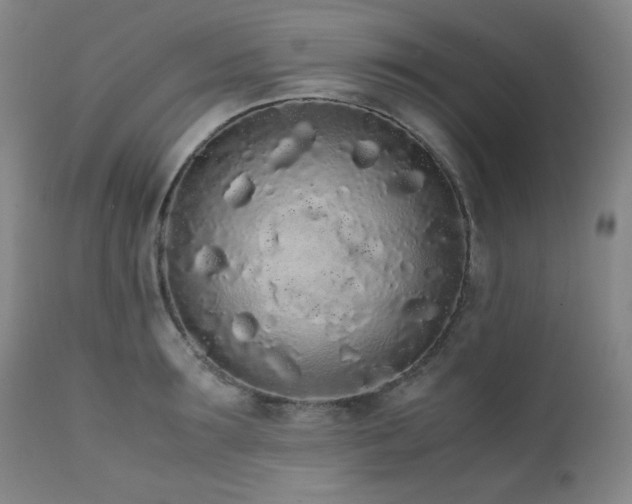 X0000112040899200908031513