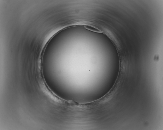 X0000112040900200908031513
