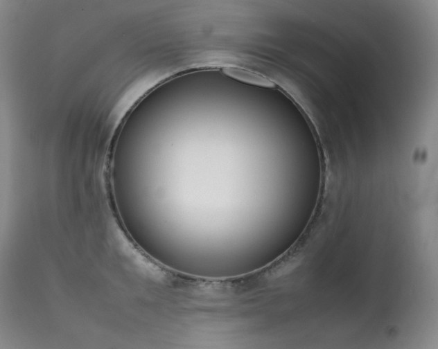 X0000112040901200908031513