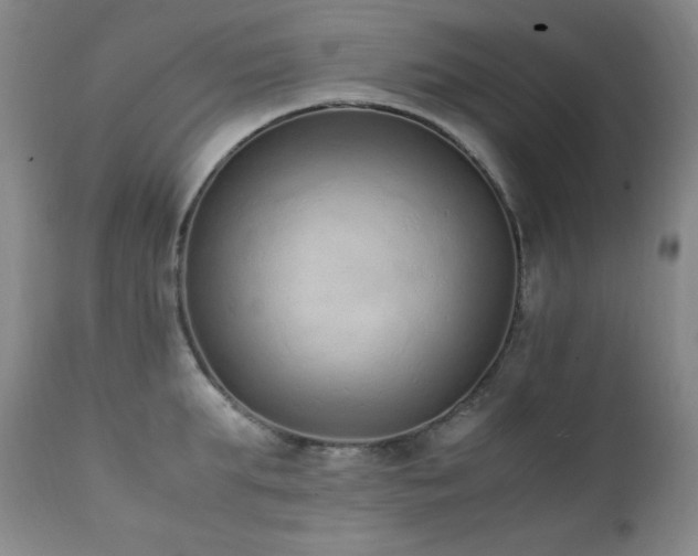 X0000112040903200908031513