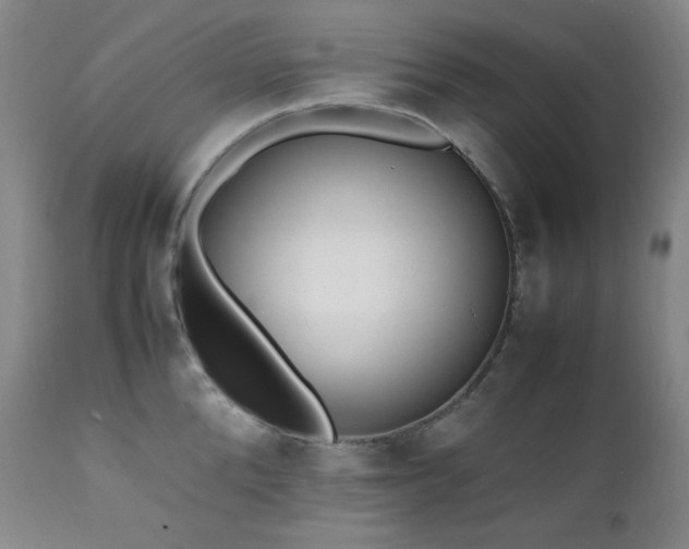 X0000112040904200908031513