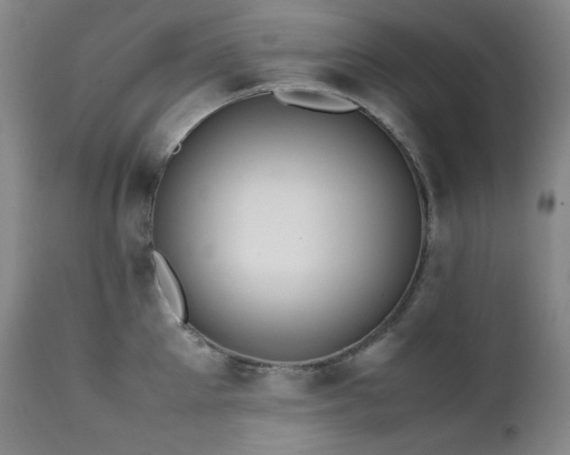 X0000112040905200908031513