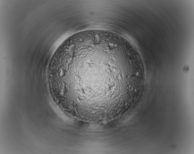 X0000112040907200908031513