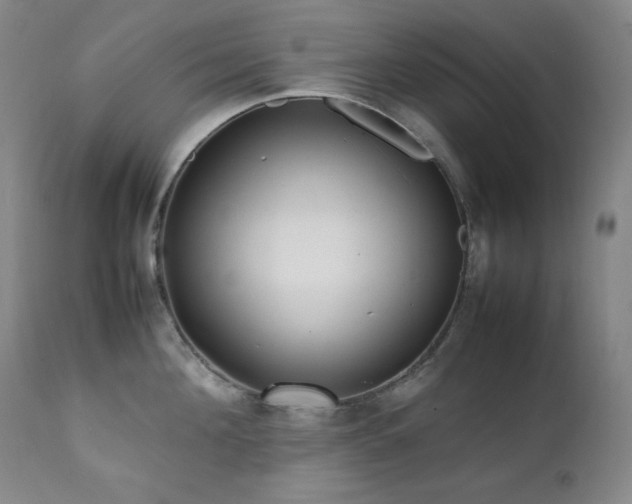 X0000112040908200908031513