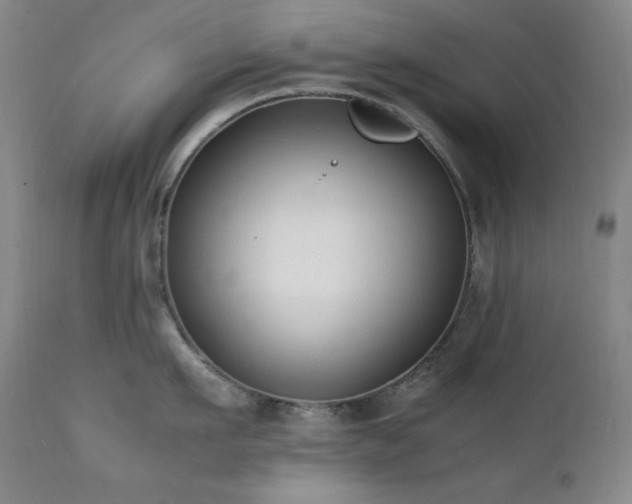 X0000112040911200908031513