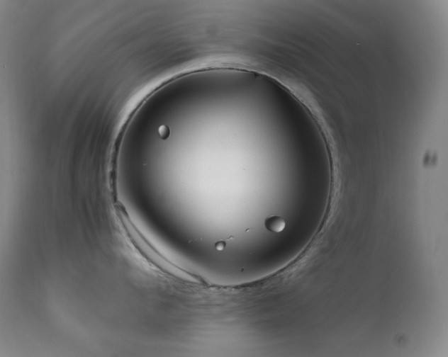 X0000112040912200908031513