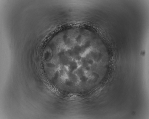 X0000112040913200908031513