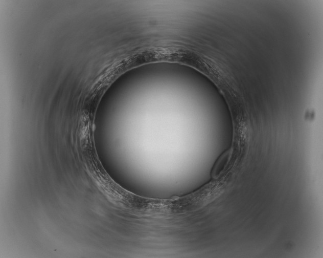 X0000112040914200908031513