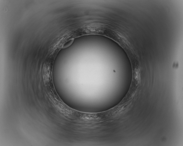 X0000112040915200908031513