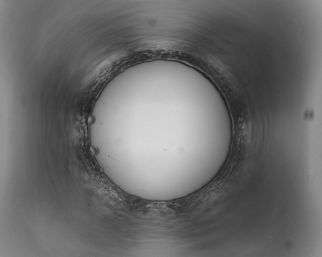 X0000112040918200908031513