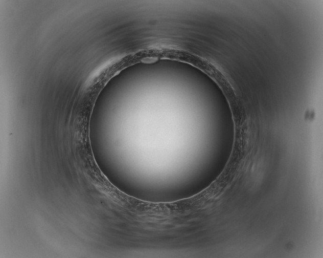 X0000112040919200908031513