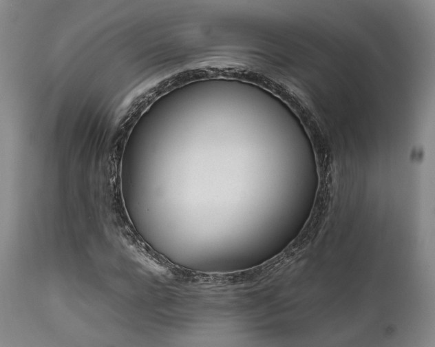 X0000112040920200908031513
