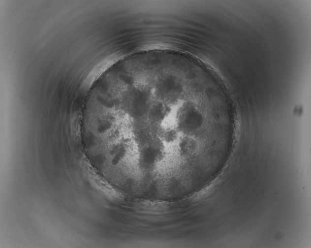 X0000112040921200908031513