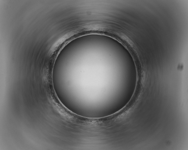 X0000112040922200908031513