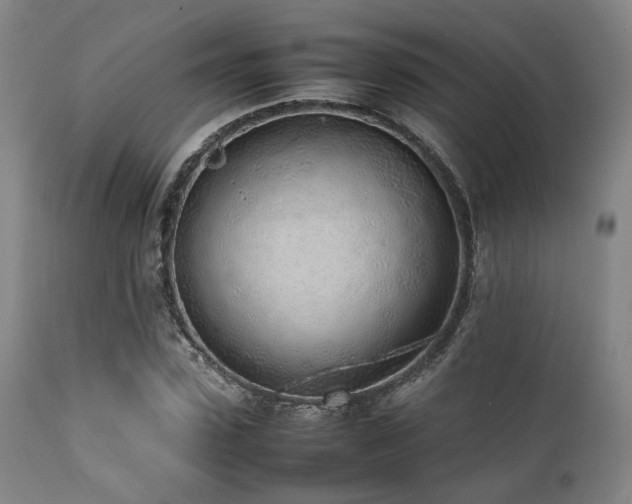 X0000112040923200908031513