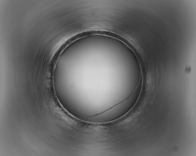 X0000112040926200908031513