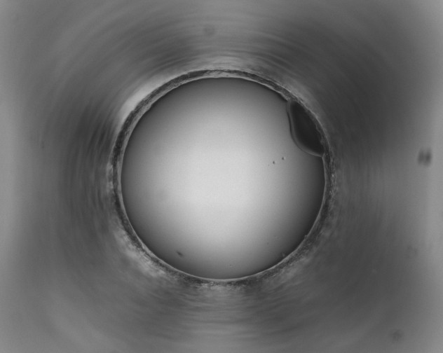 X0000112040928200908031513